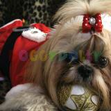 Weihnachtsmäntel für Hunde von DoggyDolly